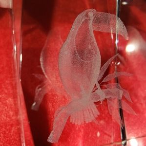Tucan Laser Cut Etched Crystal Glass Cube Paper Weight 3D